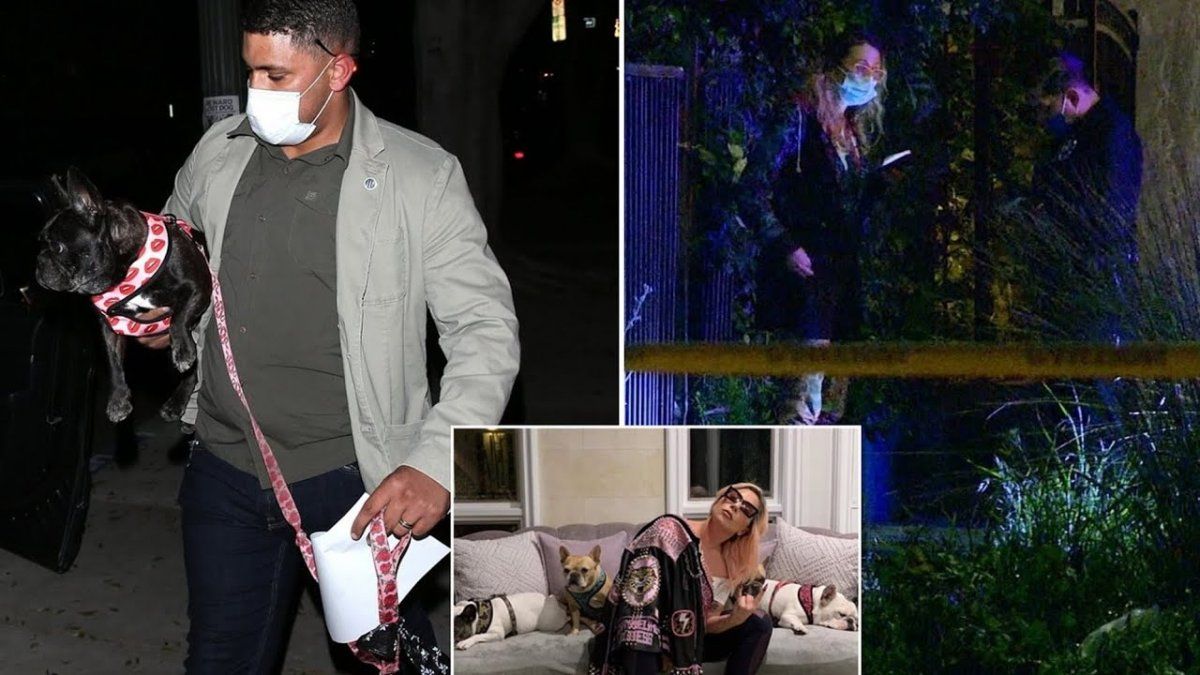 Así balearon al paseador de Lady Gaga para robarle los perros de la cantante
