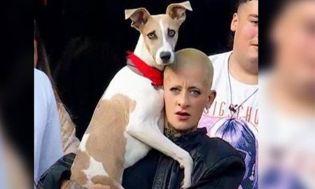 Arturo es la mascota de Gran Hermano 2023. Arturo es la mascota de Gran Hermano 2023.