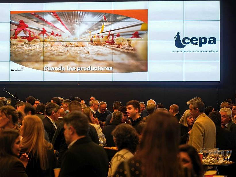 La avicultura celebró su día con un consumo récord, pero advirtió que necesita más exportaciones e inversiones para seguir creciendo La avicultura celebró su día con un consumo récord, pero advirtió que necesita más exportaciones e inversiones para seguir creciendo
