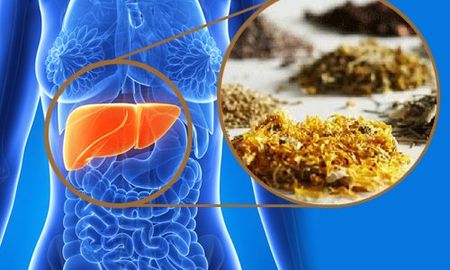 7 alimentos que limpian tu hígado y tu cuerpo