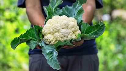 Las 5 mejores recetas saludables con coliflor para preparar comidas ricas y livianas