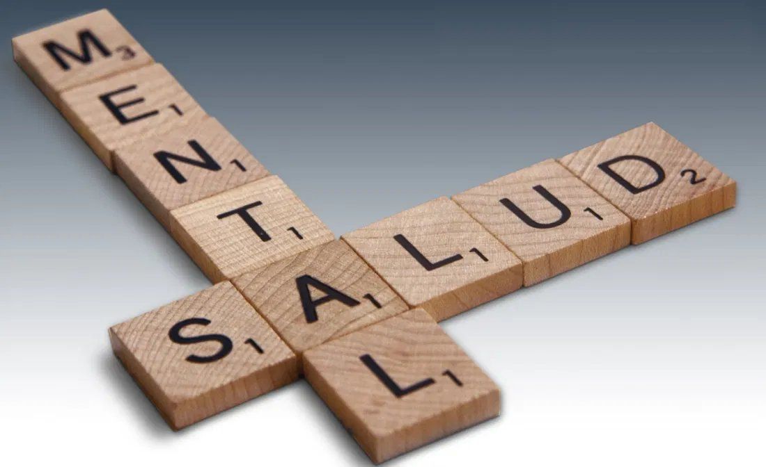 Tras once años de vigencia de la ley 26.657 de Salud Mental y ocho de su reglamentación, Gargoloff aseguró que todavía resulta imposible pensar en el "cierre de los hospitales y clínicas con internación monovalentes sin poner en riesgo aún mayor la brecha terapéutica para las personas en riesgo cierto e inminente".