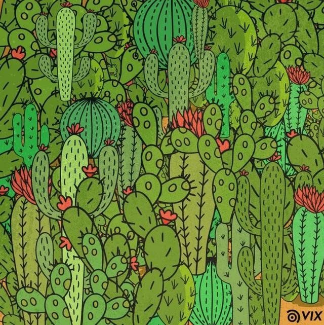 Reto visual: trata de encontrar los 3 animales en la imagen. 