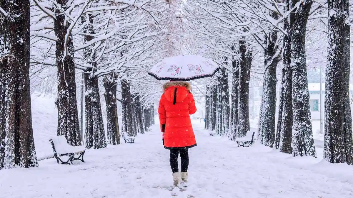 Los signos del zodiaco que SON FELICES en el invierno