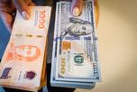 Las consultoras ajustaron sus proyecciones para 2026 y anticiparon una inflación más lenta, un dólar sin saltos bruscos y crecimiento moderado de la economía. Las consultoras ajustaron sus proyecciones para 2026 y anticiparon una inflación más lenta, un dólar sin saltos bruscos y crecimiento moderado de la economía.