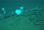 Fósiles de cinco millones de años yacen en el cementerio de ballenas de la Fosa de Diamantina. Fósiles de cinco millones de años yacen en el cementerio de ballenas de la Fosa de Diamantina.