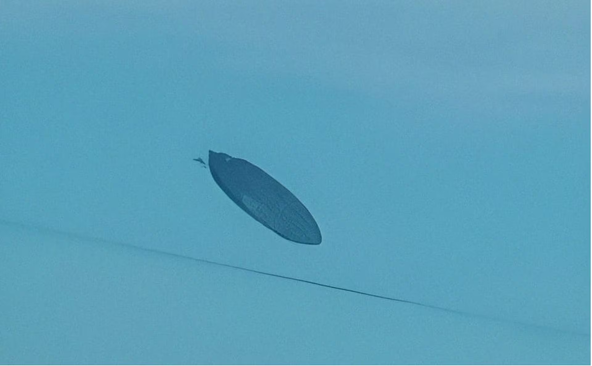 Impactantes imágenes de un OVNI gigante que una mujer captó en Tucumán: Y luego desapareció...