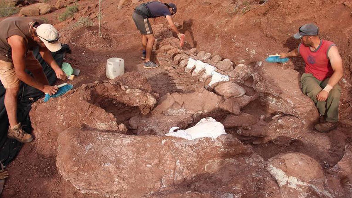 Ninjatitan se suma al equipo de los titanosaurios de la Patagonia que han asestado fuertes apariciones en los últimos tiempos.