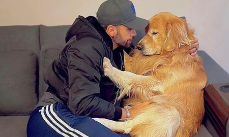 Tragedia inimaginable: una aerolínea equivocó el destino y un perro murió Tragedia inimaginable: una aerolínea equivocó el destino y un perro murió
