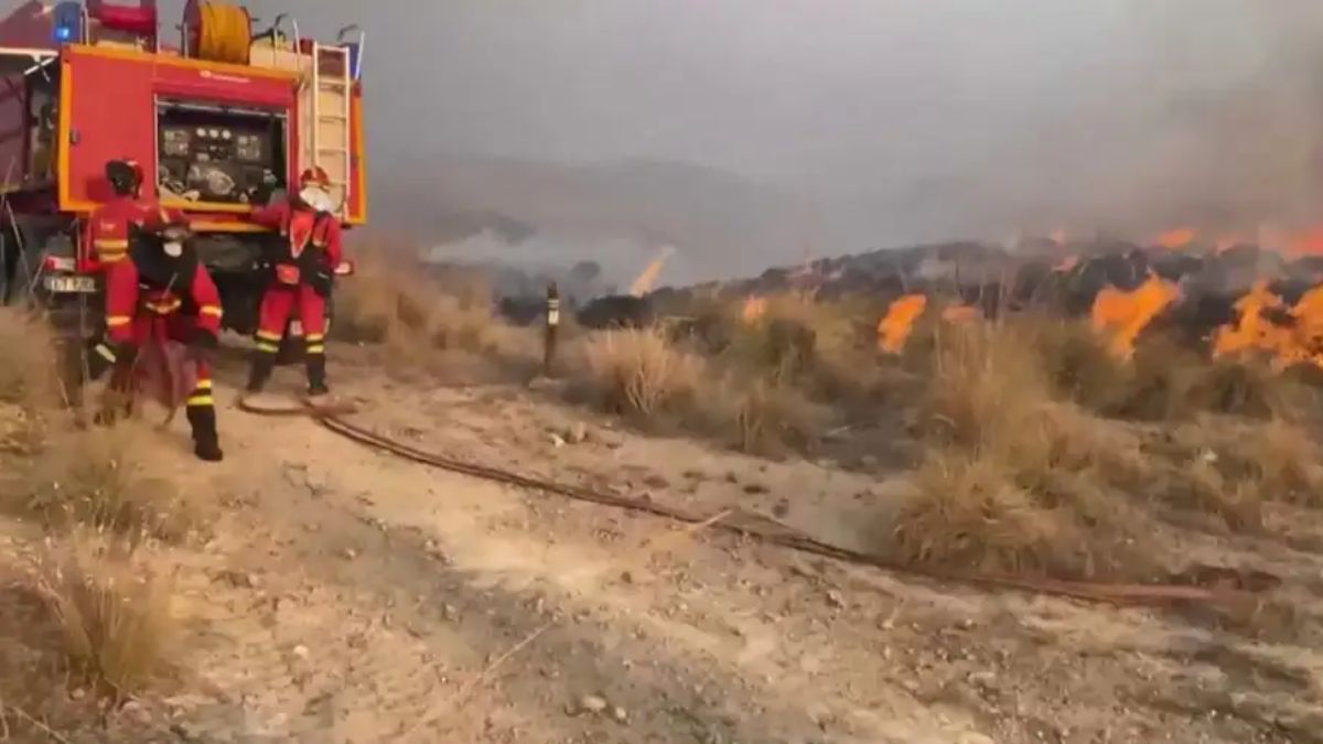 El avance del fuego obligó a evacuar de urgencia a los residentes de varios municipios y forzó el cierre total de las principales carreteras del sur de España. El avance del fuego obligó a evacuar de urgencia a los residentes de varios municipios y forzó el cierre total de las principales carreteras del sur de España.