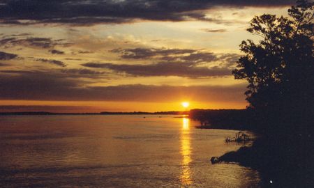 Unos de los brazos del río Paraná. Unos de los brazos del río Paraná.