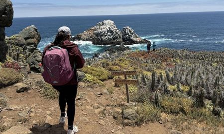 El Bioparque Puquén combina acantilados, mar y senderos que recorren una de las zonas más bellas de la costa chilena. El Bioparque Puquén combina acantilados, mar y senderos que recorren una de las zonas más bellas de la costa chilena.