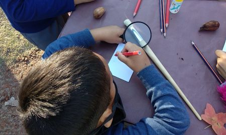 Los jardines municipales darán inicio a las clases presenciales y mixtas el 17 de febrero. Los jardines municipales darán inicio a las clases presenciales y mixtas el 17 de febrero.