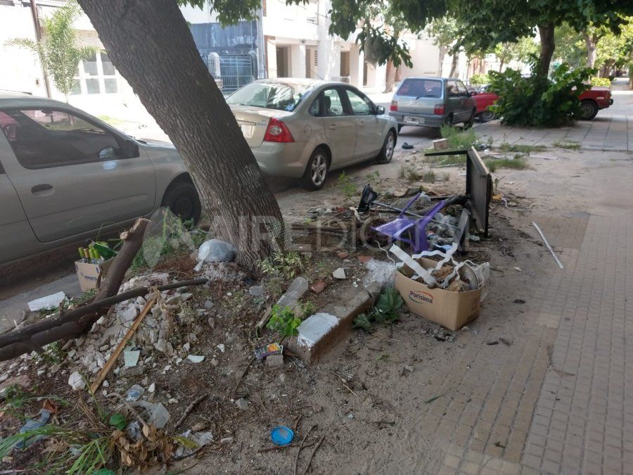 En los próximos días, la Municipalidad de Santa Fe declarará la emergencia ambiental