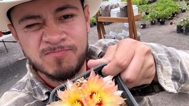 Jonathan Citadino, experto en jardinería: Si querés reproducir plantas, te recomiendo esta especie