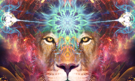 El portal del león: un momento para la transformación que regala la astrología El portal del león: un momento para la transformación que regala la astrología