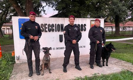El 2 de junio es el Día Nacional del Perro. El 2 de junio es el Día Nacional del Perro.