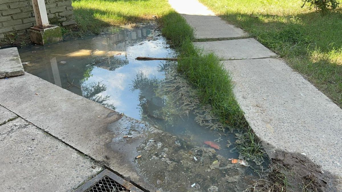 Denuncian aguas servidas