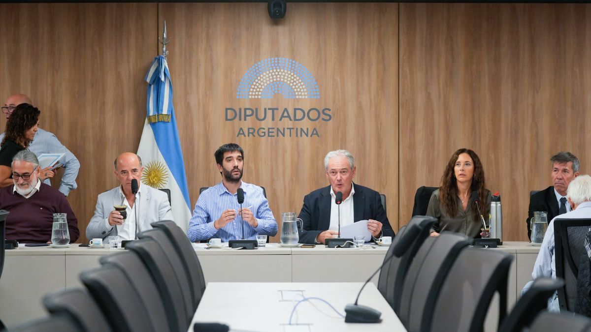 Retenciones al agro: cruce político en Diputados impidió avanzar con la eliminación gradual