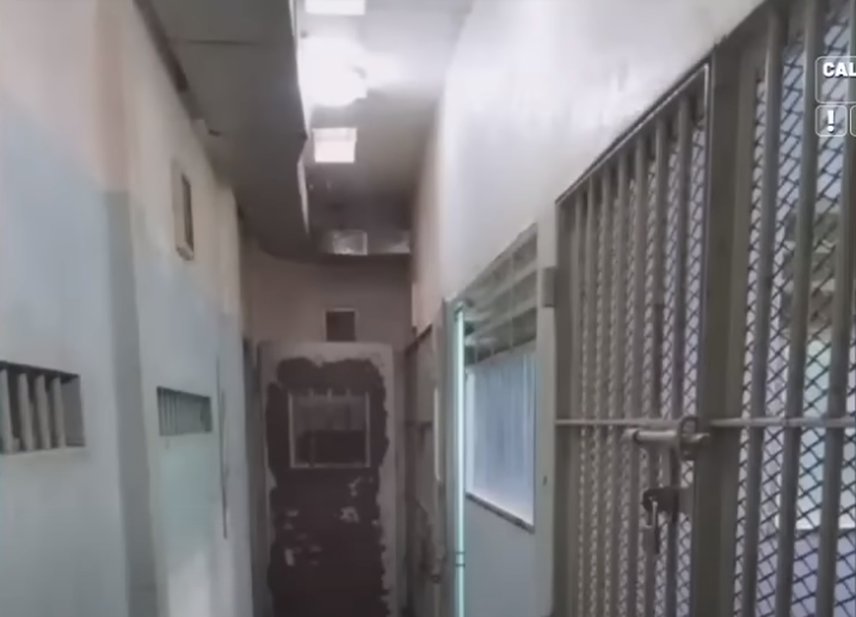 Captura de la celga de L-Gante Captura de la celga de L-Gante