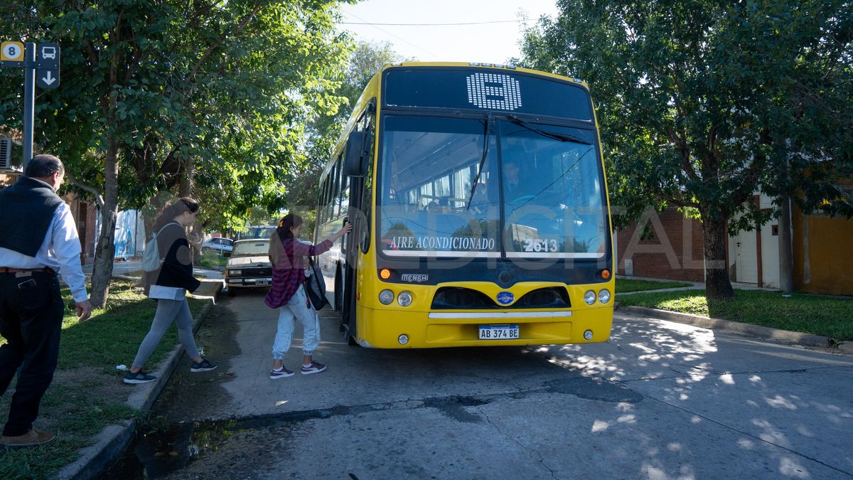 Una pareja bajó de su auto y agredió a un chofer de la línea 8 y a pasajeros que intervinieron en la pelea