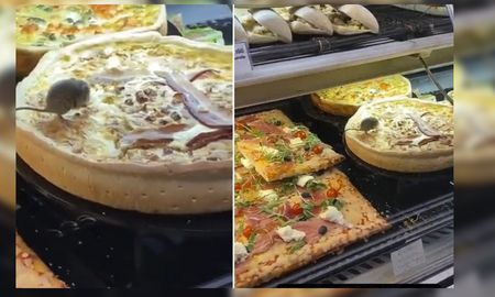 Como en Ratatouille, este ratón se pasea por las tortas de una panaderia Como en Ratatouille, este ratón se pasea por las tortas de una panaderia