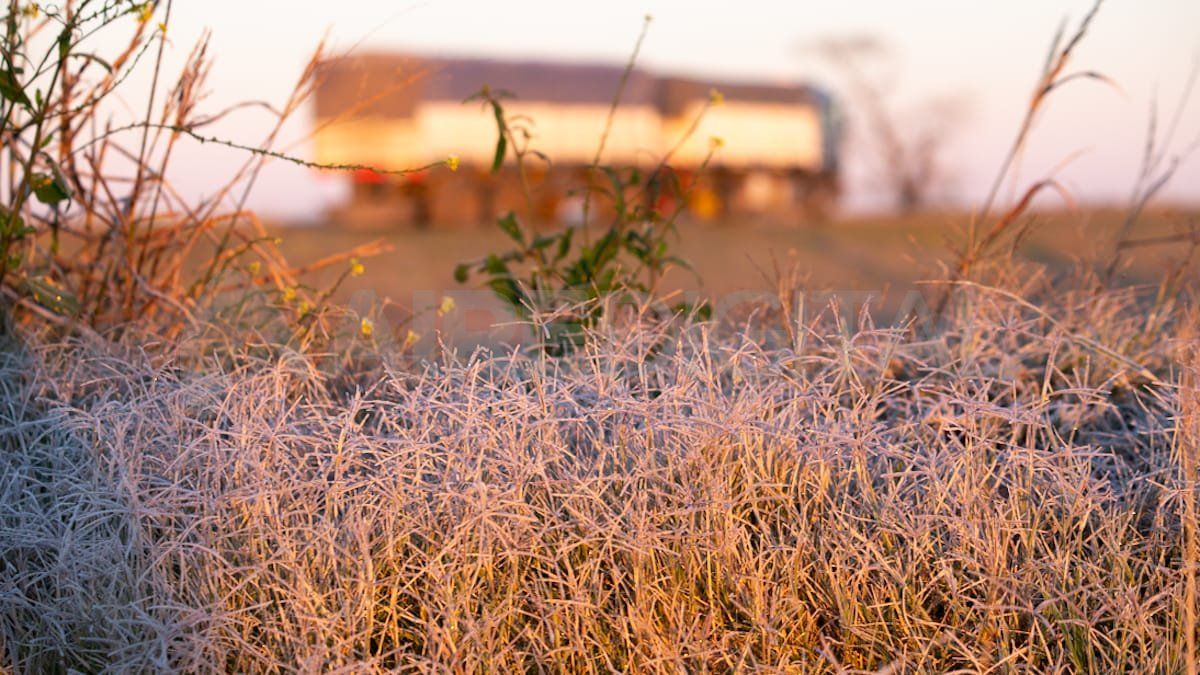 Se esperan heladas el fin de semana en Santa Fe.