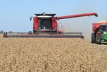 Crece el optimismo en el sector agropecuario, aunque la inversion a largo plazo se mantiene cauta Crece el optimismo en el sector agropecuario, aunque la inversion a largo plazo se mantiene cauta
