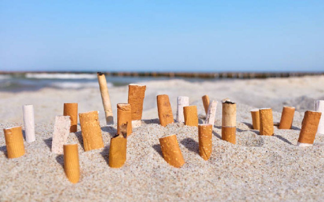 Cómo impacta el tabaco en el ambiente