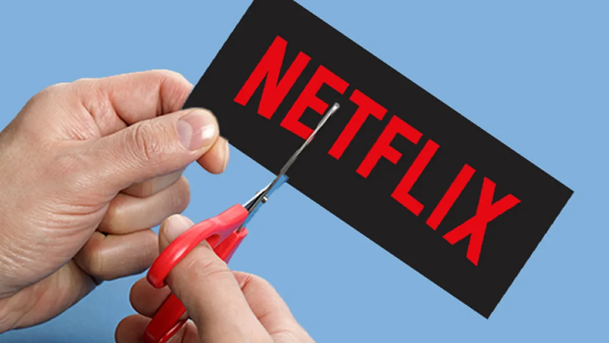 Una plataforma reemplazará a Netflix y tendrá más de 800 canales de televisión gratis