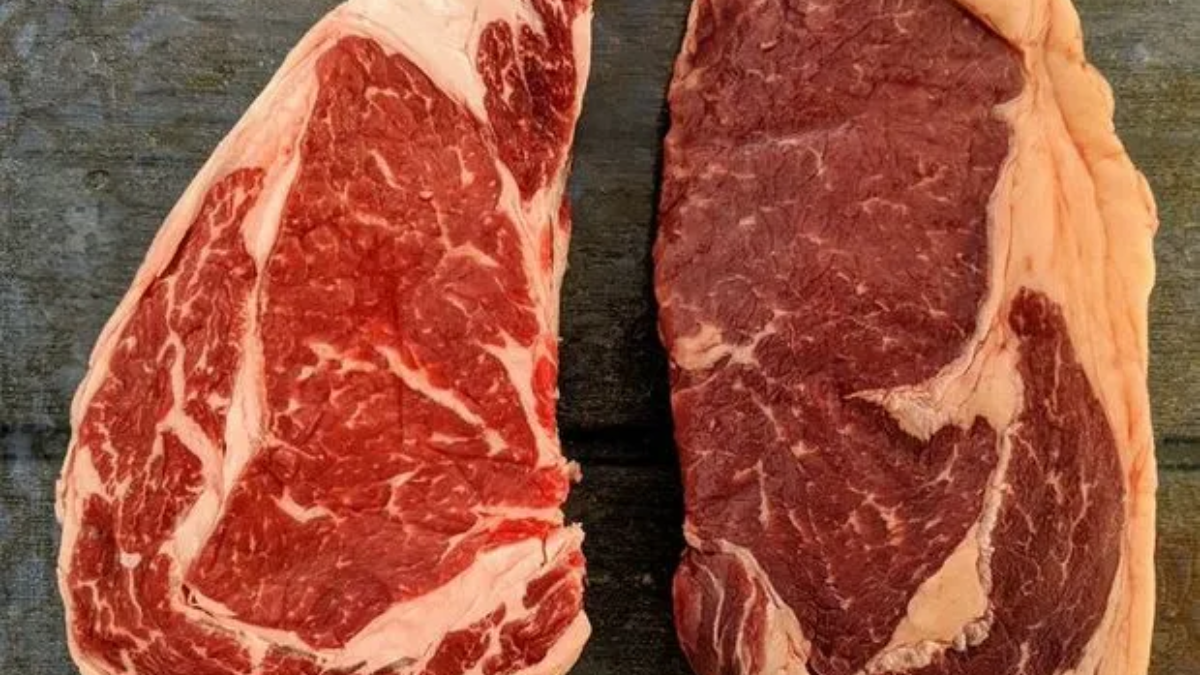 Carne con grasa amarilla o blanca. Carne con grasa amarilla o blanca.