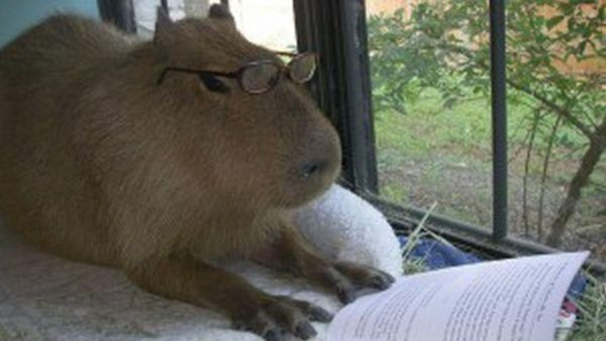 Qué carpincho sos según tu signo