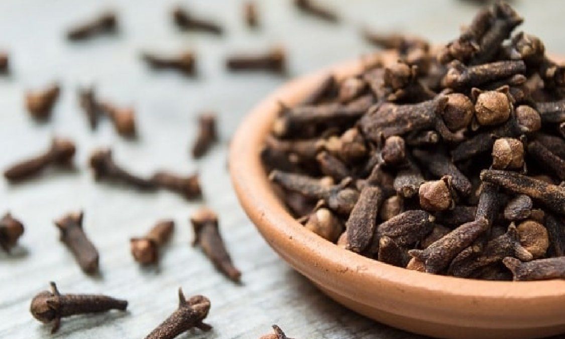 Cuáles son los beneficios de tomar té de clavo