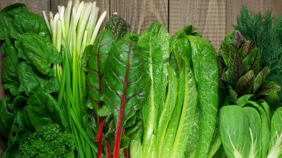 Cuál es la diferencia entre la acelga y la espinaca