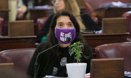 La planta que generó polémica en el recinto de Diputados. La planta que generó polémica en el recinto de Diputados.
