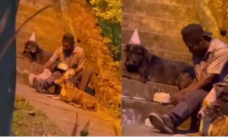 Conmovedor: persona en situación de calle le festejó el cumpleaños a sus perros Conmovedor: persona en situación de calle le festejó el cumpleaños a sus perros
