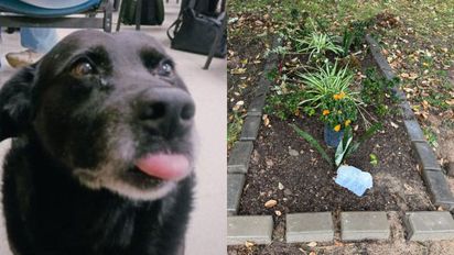 Dónde descansa Garrafa: la emotiva tumba que le construyeron trabajadores y estudiantes