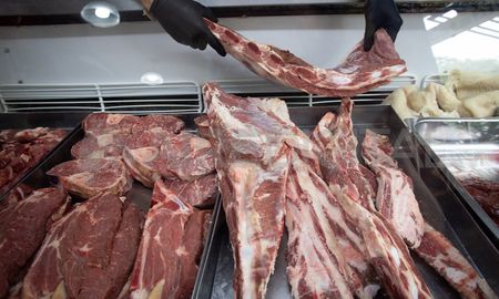 Aseguran que enero y febrero van a ser meses muy difíciles para la industria frigorífica y el consumo de carne disminuirá. Aseguran que enero y febrero van a ser meses muy difíciles para la industria frigorífica y el consumo de carne disminuirá.