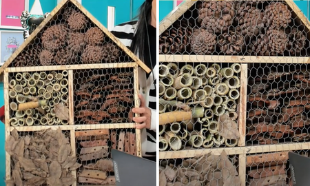 que es un hotel de insectos, para que sirve y como hacer uno en casa que es un hotel de insectos, para que sirve y como hacer uno en casa