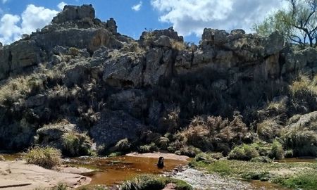 Senderos rodeados de vegetación autóctona permiten explorar la Reserva Cerro Blanco en Córdoba. Senderos rodeados de vegetación autóctona permiten explorar la Reserva Cerro Blanco en Córdoba.