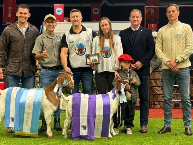 Cabañas santafesinas dominaron la raza Boer en Palermo y se quedaron con los máximos premios
