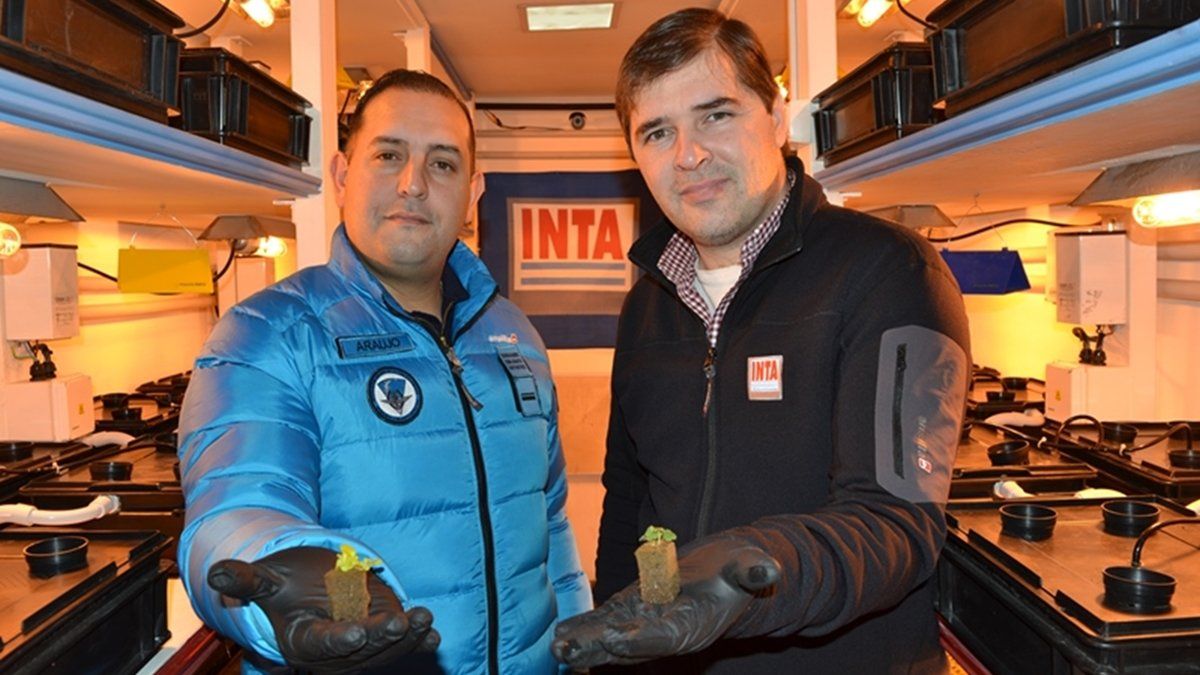 Suboficial auxiliar Cesar Ismael Araujo Prado, encargado de la división Prevención de Accidentes, Seguridad e Higiene y Ambiental del Cocoantar (der.) junto al investigador del Inta Santa Cruz Jorge Birgi (izq.).