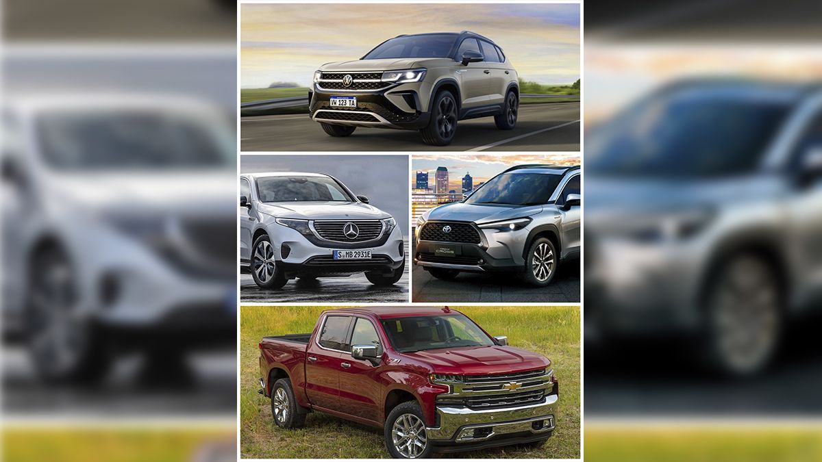 En un año con leve recuperación se esperan muchas novedades