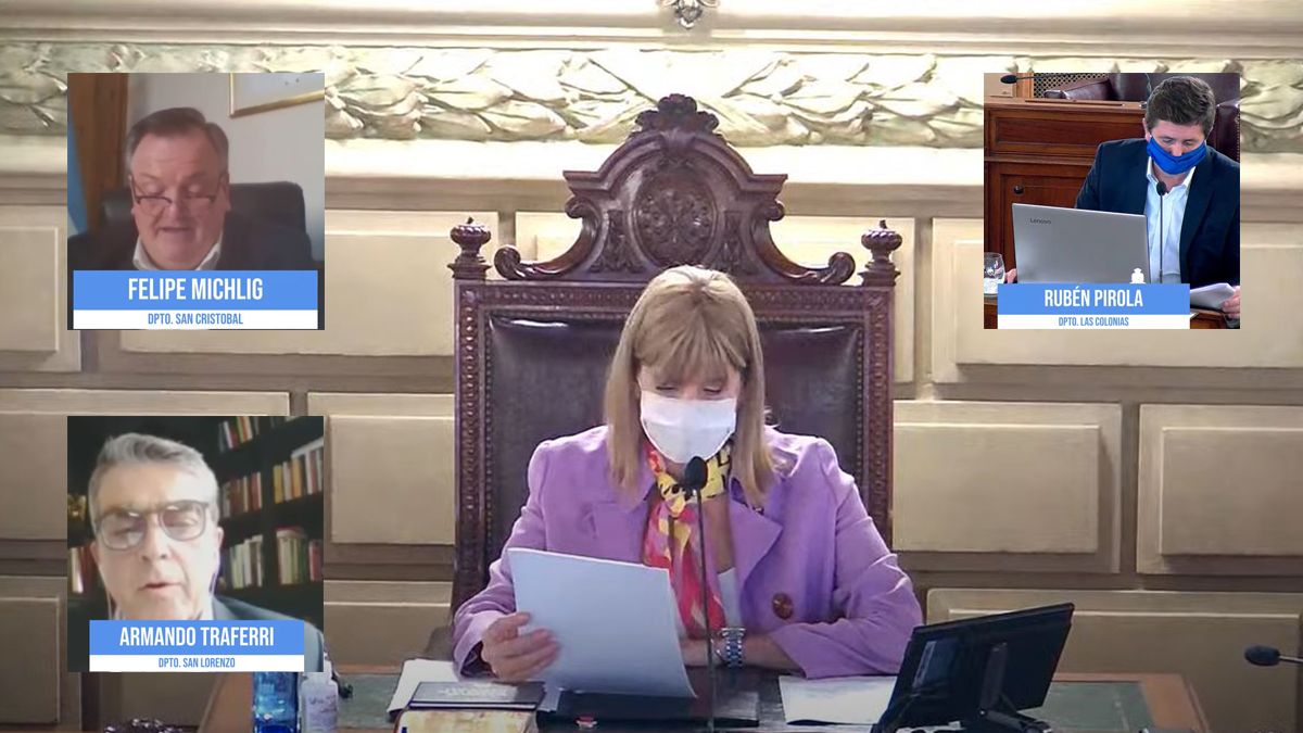 En vivo: el Senado santafesino sesiona por videoconferencia
