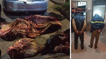 Ocurrió en la zona de Riobamba al 8200, en el norte de Santa Fe. Dos hombres fueron aprehendidos tras un patrullaje y en su vehículo hallaron un animal faenado.