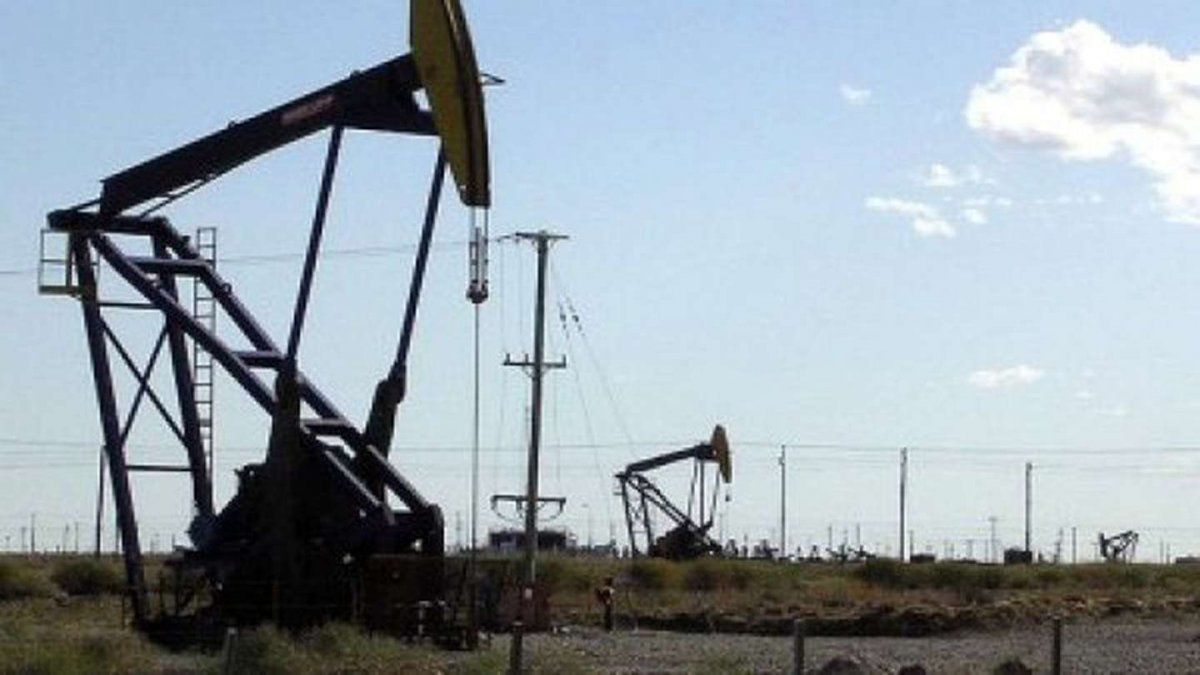 En Argentina, el combustible en surtidor es una mezcla de petr&oacute;leo refinado y biocombustibles.