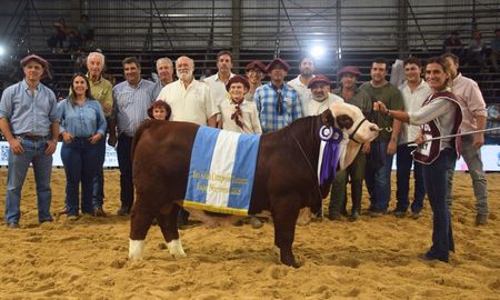 En la categoría de machos, el Reservado Gran Campeón Ternero fue para el Box 121, perteneciente a la cabaña santafesina El Amargo. En la categoría de machos, el Reservado Gran Campeón Ternero fue para el Box 121, perteneciente a la cabaña santafesina El Amargo.
