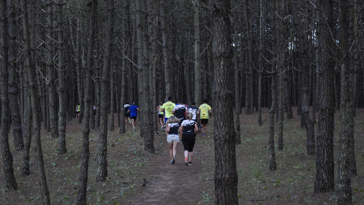 Sendero Eco-Paisajistico