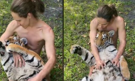 Un hombre demostró ser un experto en el manejo de los felinos y dejó a todos encantados con su relación con los animales. Un hombre demostró ser un experto en el manejo de los felinos y dejó a todos encantados con su relación con los animales.