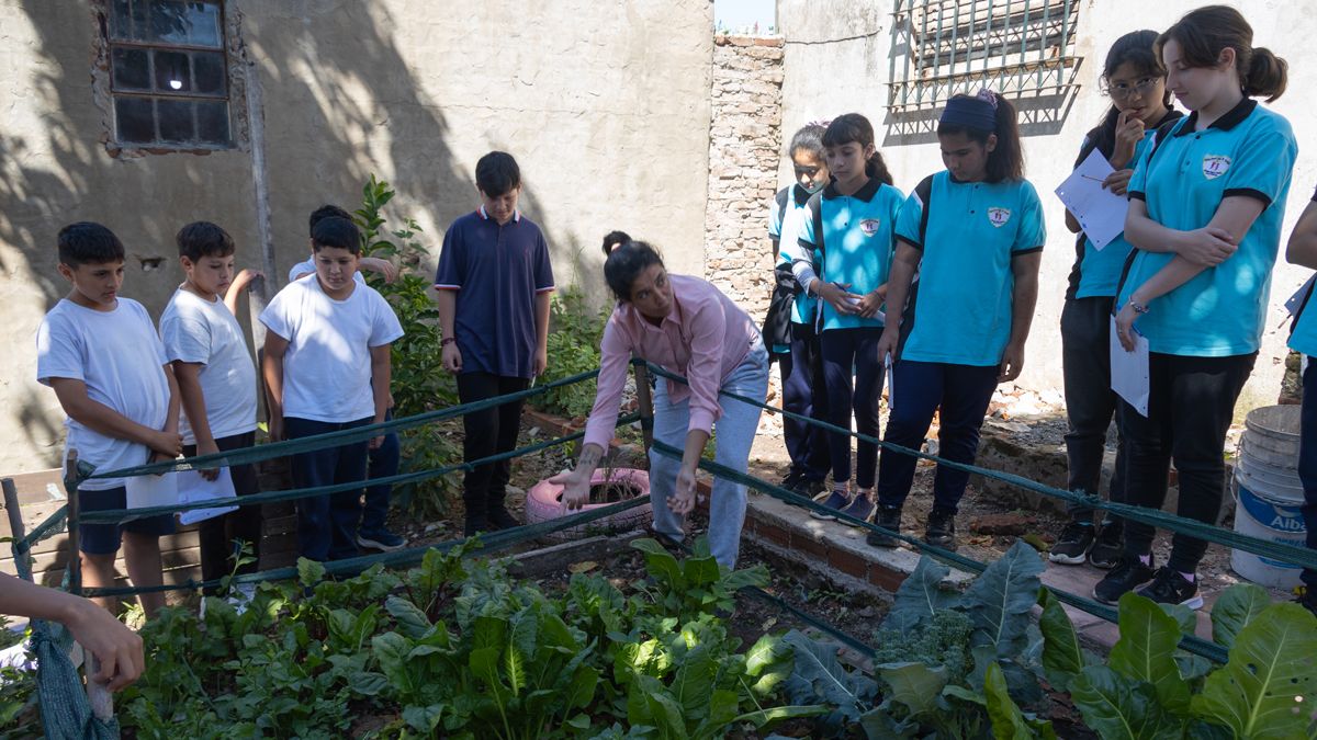 En la escuela se instaló una huerta comunitaria y ACDI brindó talleres de aprendizaje sobre el manejo de los cultivos. En la escuela se instaló una huerta comunitaria y ACDI brindó talleres de aprendizaje sobre el manejo de los cultivos.